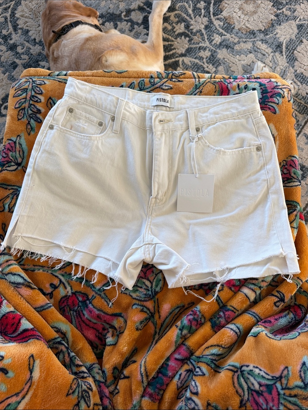 pistola Off-White Raw-Hem KELLY 90s Skater High-Rise Denim Shorts